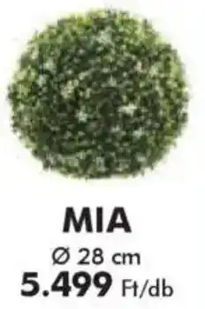 Diego Dekorációs gömbök Mia ajánlat