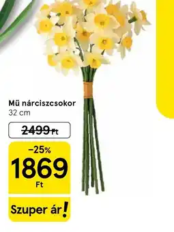 Tesco MŰ nárciszosokor ajánlat
