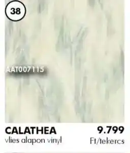 Diego Tapéta Calathea ajánlat