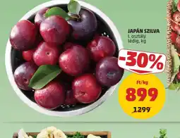 PENNY JAPÁN SZILVA ajánlat