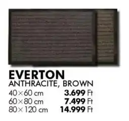 Diego Szőnyeg Everton ajánlat