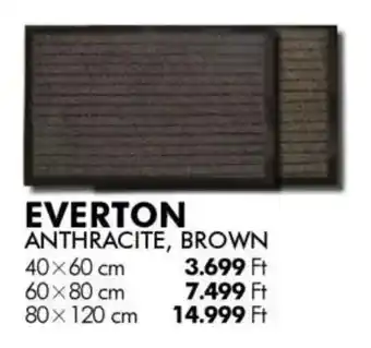 Szőnyeg Everton