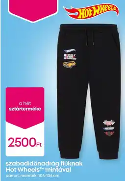 Pepco Szabadidőnadrág fiúknak Hot Wheels mintával pamut ajánlat