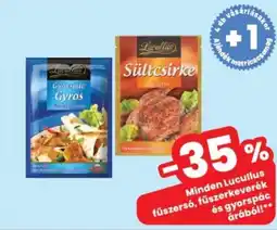 Interspar Lucullus fűszersó, fűszerkeverék és gyorspác ajánlat