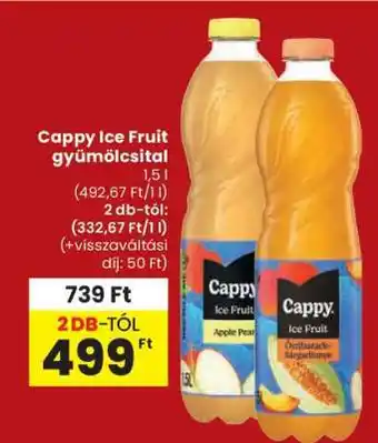 Cappy Ice Fruit gyümölcsital