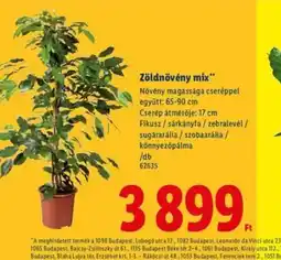 Lidl Zöldnövény mix ajánlat