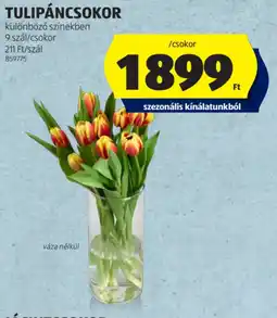 ALDI Tulipáncsokor ajánlat