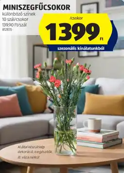 ALDI Miniszegfűcsokor ajánlat