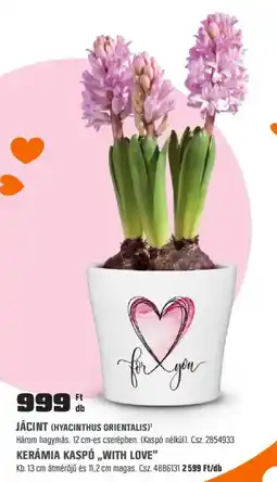 OBI Jácint ajánlat