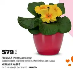 OBI Primula ajánlat