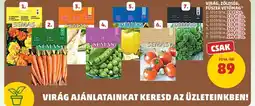 PENNY SEMAS vetőmag ajánlat