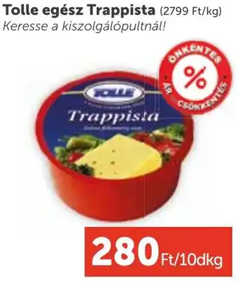 Tolle egész Trappista