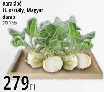 Karalábé II. osztály, Magyar darab