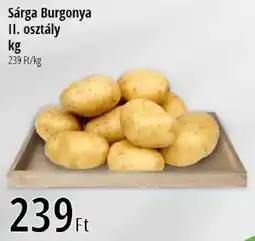 Real Sárga Burgonya II. osztály ajánlat