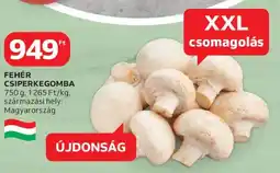Auchan Fehér csiperkegomba ajánlat