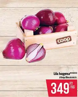 Coop Lila hagyma ajánlat