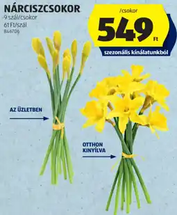 ALDI Nárciszcsokor ajánlat