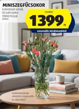 ALDI Miniszegfűcsokor ajánlat