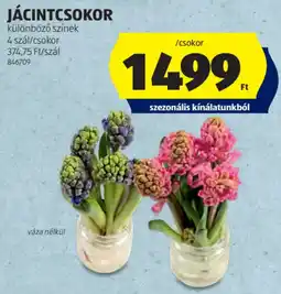 ALDI Jácintcsokor ajánlat
