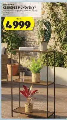 ALDI CSEREPES MŰNÖVÉNY ajánlat