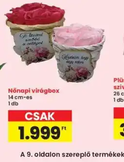 Interspar Nőnapi virágbox ajánlat