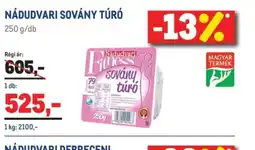 Metro NÁDUDVARI SOVÁNY TÚR ajánlat