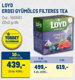 Metro Loyd erdei gyümölcs filteres tea ajánlat