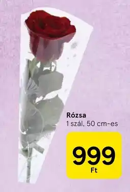 Tesco Rózsa ajánlat