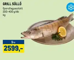 Metro GRILL SÜLLŐ ajánlat