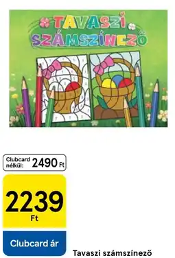 Tesco Tavaszi számszínező ajánlat