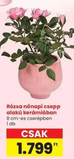 Spar Rózsa nőnapi csepp alakú kerámiában ajánlat