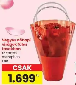 Spar Vegyes nőnapi virágok füles tasakban ajánlat