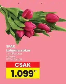 Spar SPAR tulipáncsokor ajánlat