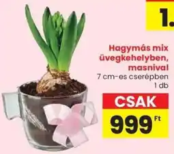 Spar Hagymás mix üvegkehelyben, masnival ajánlat