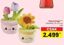 Spar Plüssvirág ajánlat