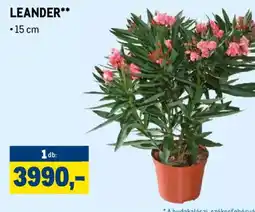 Metro LEANDER ajánlat