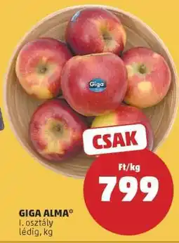 PENNY GIGA ALMA ajánlat