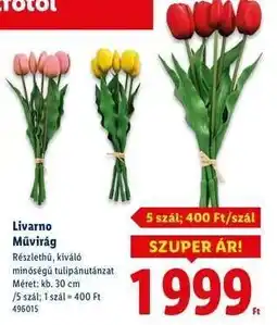 Lidl Livarno Művirág ajánlat