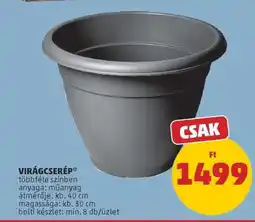 PENNY Virágcserép ajánlat