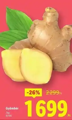 Lidl Gyömbér ajánlat