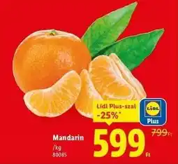Lidl Mandarin ajánlat