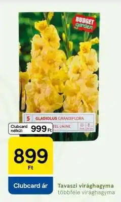 Tesco Tavaszi virághagyma ajánlat