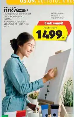 ALDI HOME CREATION FESTŐVÁSZON ajánlat