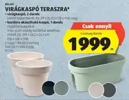 ALDI BELAVI VIRÁGKASPÓ TERASZRA ajánlat