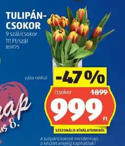 ALDI Tulipán-csokor ajánlat