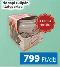 PRIVÁT Nőnapi tulipán illatgyertya ajánlat