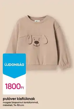 Pepco Pulóver kisfiúknak ajánlat