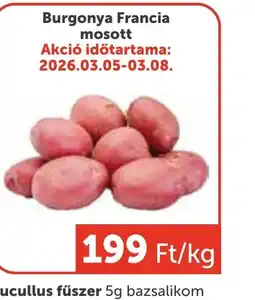 PRIVÁT Burgonya Francia mosott ajánlat