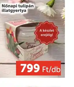 PRIVÁT Nőnapi tulipán illatgyertya ajánlat