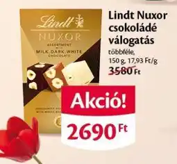 EcoFamily Lindt Nuxor csokoládé válogatás ajánlat